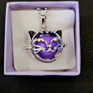 Bola de Grossesse Chat et boule violette
