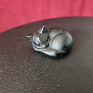 Petit Chat Obsidienne Noire