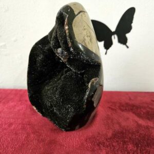 Septaria 1.099 kg – Image 4