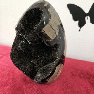 Septaria 908 g – Image 4