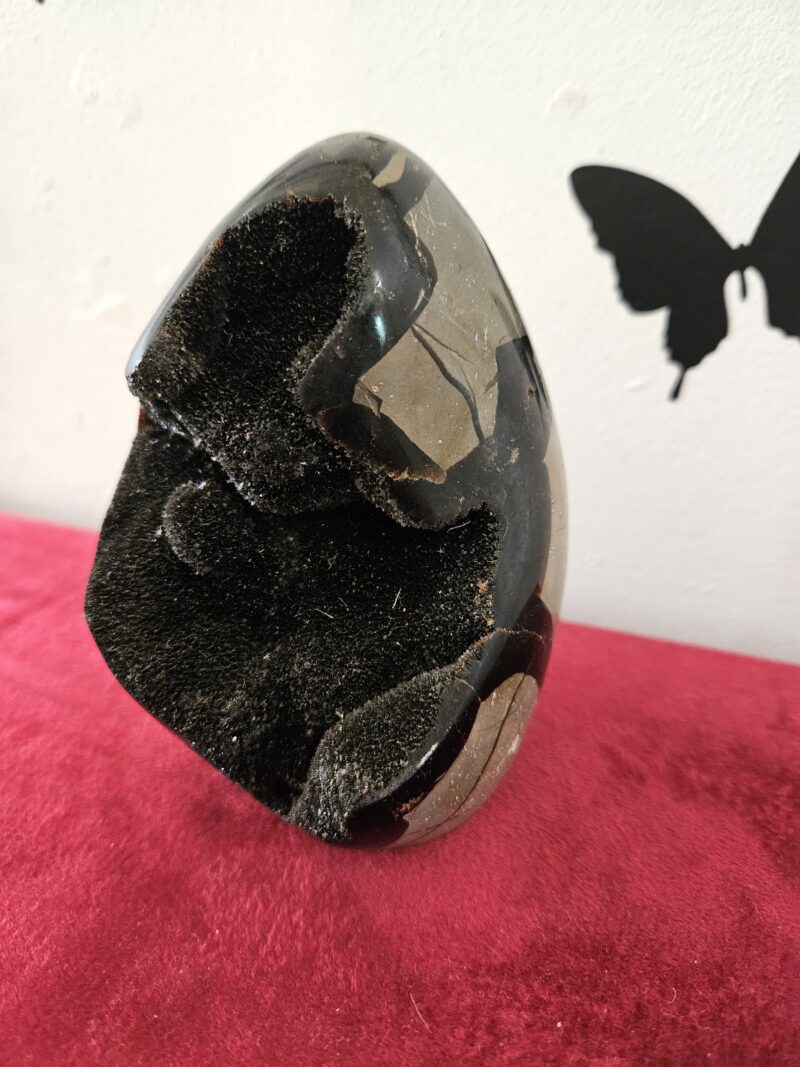 Septaria 908 g – Image 4