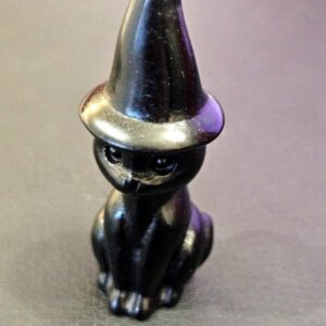 Chat Chapeau Obsidienne Noire