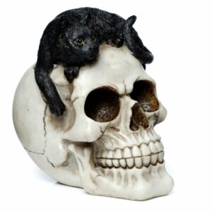 Crâne avec Chat Noir