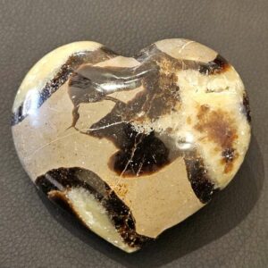 Coeur Septaria