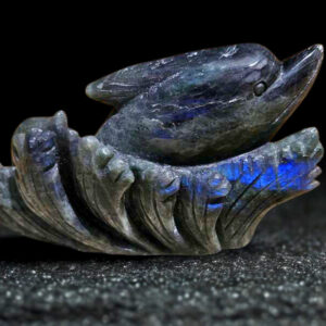 Dauphin en Labradorite