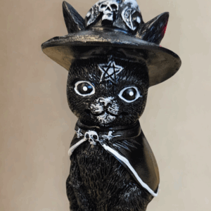Chat Sorcier Cape et Chapeau