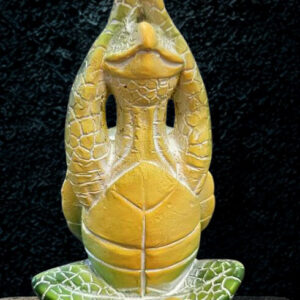 Tortue de Mer verte (mains jointes haut)