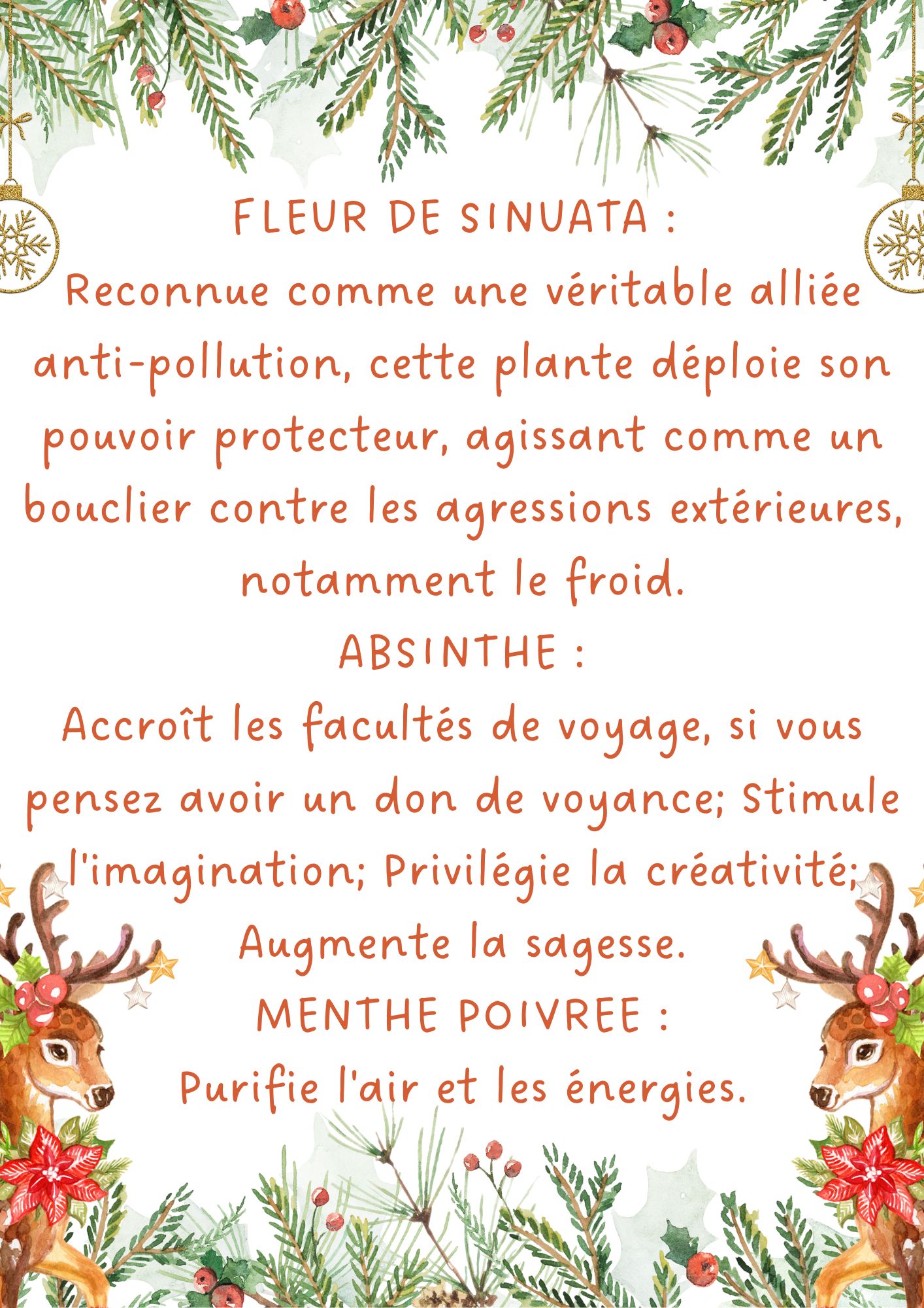 Coffret Arbre de Vie Encens – Image 4