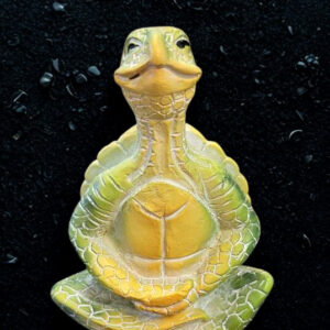 Tortue de Mer verte (mains jointes bas)