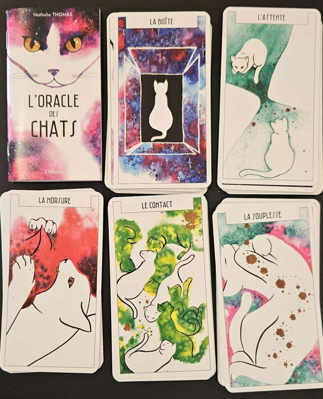 L'Oracle des Chats – Image 2