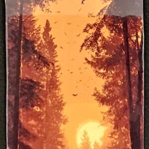 Marque-Pages Bouddha Forêt