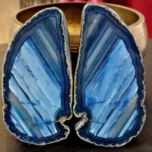 Agate bleue teintée Aile de Papillon