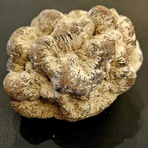 Marcassite