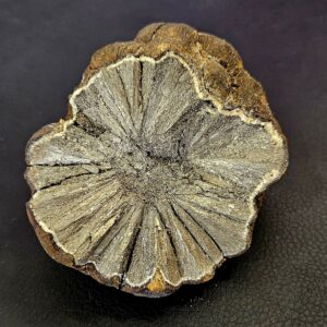 Marcassite