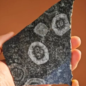 Diorite Orbiculaire  395 g