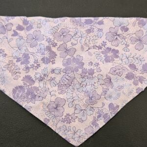 Bandana pour Loulou  XS  à passer dans le collier