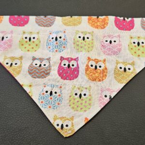 Bandana pour Loulou  XS  à passer dans le collier